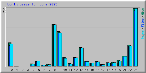 Hourly usage for June 2025