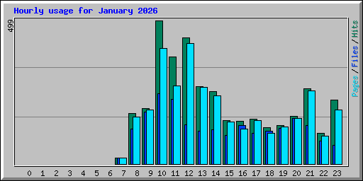 Hourly usage for January 2026